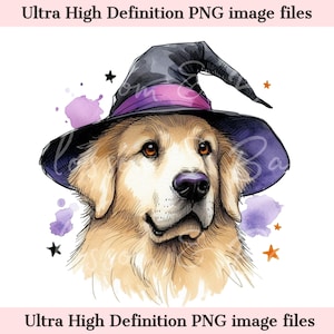 Digital Golden Retriever Halloween dog PNG, Cute Puppy PNG Autumn Witch Dog Download for Groomer and Retriever Dog Owner Shirt Sublimation