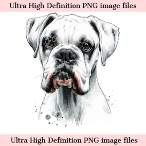 Digitale witte bokser PNG mooie bokser PNG - bokser kunst PNG - downloaden voor hond moeder shirt sublimatie - voor commercieel gebruik