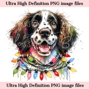 Numérique - Mignon Springer anglais PNG Noël chien Portrait PNG - Téléchargement pour épagneul chien maman Tangled Noël lumières sublimation de chien