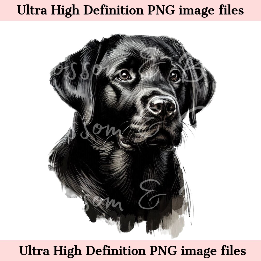 Digital Black Labrador Retriever PNG Beautiful Black Lab PNG - Dog Art ...
