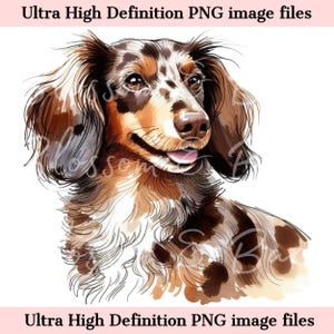 Dachshund digital PNG Perro Dachshund PNG - Doxie PNG - Descargar para cabello largo Merle Doxie Perro Mamá Camiseta Sublimación - Seguro para Comercial