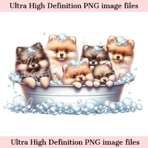 Digital Dog Groomer PNG Puppy Bath Dog Art - Lindo Pomeranian PNG Bath Puppies PNG Descarga instantánea para regalos de decoración de tienda de mascotas y sublimación