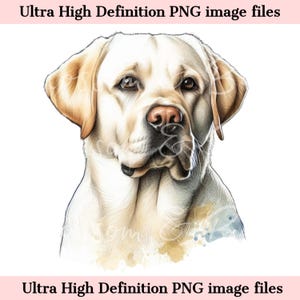 Labrador Retriever digital PNG Perro de caza PNG - Acuarela Labrador amarillo PNG Descarga para sublimación de camisetas de mamá perro - Seguro para uso comercial