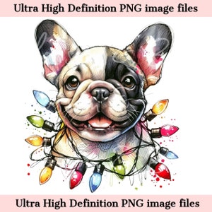 Digital - Süße Französische Bulldogge PNG Weihnachtshund Porträt PNG - Download für Frenchie Hund Mama Weihnachtslichter Weihnachten Shirt Sublimation