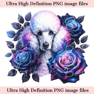Caniche estándar blanco digital PNG Galaxy PNG, Descarga instantánea PNG de Caniche lindo para peluquero de perros y regalo de sublimación de camisa de mamá de perro vintage