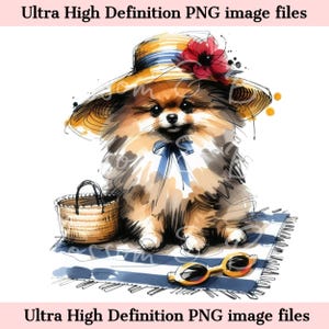 Pomerania digital PNG Acuarela Perro de playa PNG - Descarga para sublimación de camisetas de verano para mamás de perros, Perro Pomerania PNG, Seguro para uso comercial