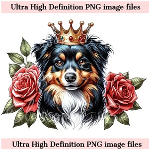 Perro pastor australiano digital PNG Corona real PNG - Lindo PNG australiano Descarga instantánea para peluqueros caninos y sublimación de camisetas con tatuajes vintage