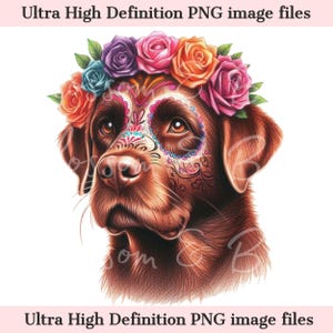Digitale labrador retriever png Dag van de doden - prachtige jachthond png-download voor Halloween labrador shirt sublimatie suikerschedel