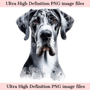 Retrato de perro acuarela digital de gran danés PNG - Descarga para sublimación de camisetas de mamá de perro gran danés - Seguro para uso comercial