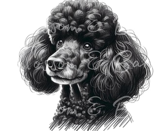Digital Standard Poodle PNG Printable Dog Portrait PNG - Black Poodle Dog PNG - Download for Dog Mom Shirt Sublimation - Safe for Commercial