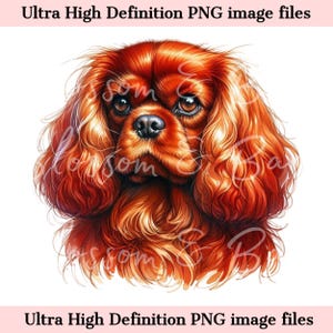 Aquarelle numérique Cavalier King Charles Spaniel PNG Portrait de chien à l'aquarelle PNG - Téléchargement pour sublimation de chemise de maman de chien - Coffre-fort pour un usage commercial