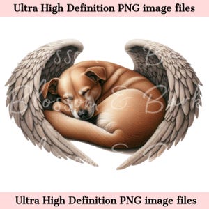 Memorial de perro digital Ridgeback Pittie PNG - Retrato de mascota con alas de ángel PNG Descarga instantánea para funeral de perro ángel - Sublimación de duelo