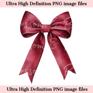 May include: A large, burgundy velvet bow with a classic shape. The bow is tied with a single loop and two long tails.