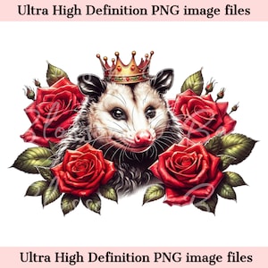 Digital Opossum PNG King Crown PNG - Cute Possum PNG Descarga instantánea para camisa gráfica de animales divertidos y sublimación de vaso - Clip Art