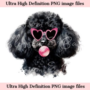 Retrato de perro caniche en acuarela PNG con taza de té digital - Descarga para sublimación de camiseta de perro caniche con gafas de corazón - Seguro para uso comercial