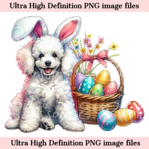 Numérique Pâques caniche PNG imprimable chien portrait PNG - caniche standard PNG - téléchargement pour sublimation de chemise de jour de Pâques de maman de chien blanc de caniche