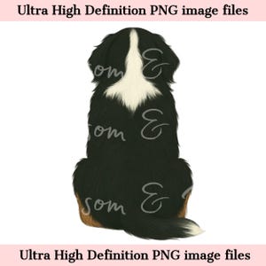 Digital - Rückansicht Berner Sennenhund PNG Berner Hund Clipart für Sublimation, hochauflösende Tier Porträt, Sennenhund Download