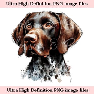 May include: A digital illustration of a brown and black German Shorthaired Pointer dog with a watercolor background.