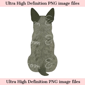 Cyfrowy - Widok z tyłu Australian Cattle Dog PNG Blue Heeler Dog Memorial Clipart do sublimacji, portret zwierzaka w wysokiej rozdzielczości, pies do pobrania