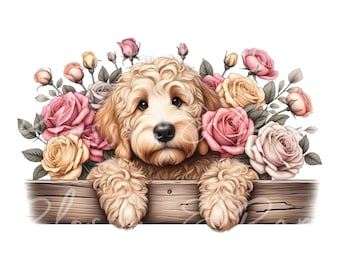 Digital Peeking Goldendoodle PNG med rosor - Blommig hundras PNG för kommersiellt bruk och hantverk - Golden doodle hund png Hundmamma Sublimering