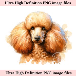 Digital Standard Poodle PNG Imprimible Retrato de perro PNG - Red Poodle Dog PNG - Descargar para la sublimación de camisa de mamá perro - Seguro para uso comercial