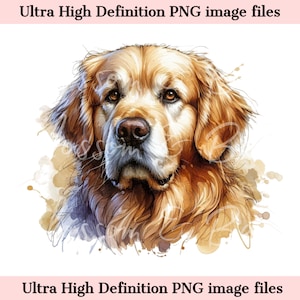 Digital Golden Retriever PNG Beau chien Golden Retriever PNG - Dog Art PNG - téléchargement pour sublimation de chemise de maman de chien - sans danger pour les entreprises
