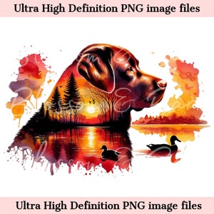 Descarga instantánea digital de Labrador chocolate PNG para sublimación de caza - Perro de caza PNG - Retrato de atardecer en acuarela de perro labrador marrón