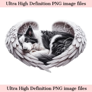 Digital Border Collie PNG Dog Memorial PNG - Retrato de mascota con alas de ángel PNG Descarga instantánea para el funeral de Angel Dog - Sublimación de duelo