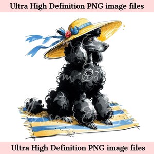 Numérique caniche PNG aquarelle plage chien PNG - Télécharger pour l'été chien maman chemise sublimation, beau caniche standard sans danger pour les entreprises