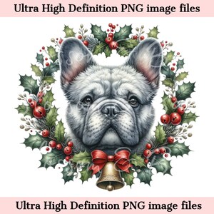 Weihnachten pelzigen Französische Bulldogge PNG Urlaub Hund Kunst - Frenchie Weihnachten PNG Sofortiger Download Hund Ornament und Shirt Sublimation PNG