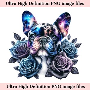 Digital French Bull Dog PNG Galaxy PNG - Lindo Frenchie PNG Descarga instantánea para peluquero de perros y regalo de sublimación de camisa de tatuaje vintage