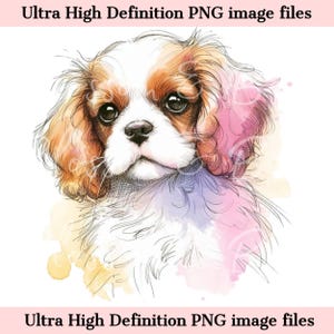 Retrato de perro Spaniel acuarela Cavalier King Charles digital PNG - Descarga para sublimación de mamá cachorro Spaniel lindo - Seguro para uso comercial