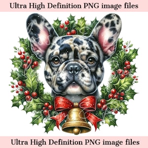 Digitale Weihnachten Französische Bulldogge PNG Urlaub Hund Kunst - Frenchie Weihnachten PNG Sofortiger Download Hund Ornament und Shirt Sublimation PNG