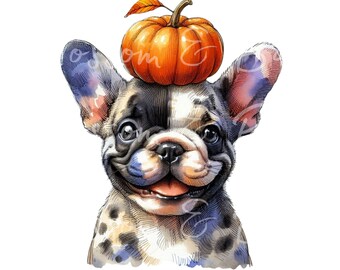 Ritratto di cane autunnale con bulldog francese Merle digitale PNG - Scarica per la stampa a sublimazione della maglietta con zucca per mamma di cane Frenchie - Sicuro per uso commerciale