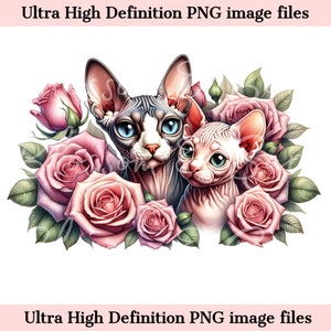 Digital Sphynx Cat PNG Cat Mom and kitten PNG - Naked Cat Breeder PNG Instant Download for Cat Groomer Logo and Shirt Sublimation Gift