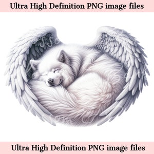 Samoyedo digital PNG Perro Memorial PNG, Retrato de mascota samoyedo con alas de ángel PNG Descarga instantánea para Sublimación de camiseta funeraria de mascota de ángel