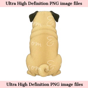 Digital - Back View Pug Dog PNG Fawn Pug Dog Clipart for Sublimation, High Resolution Pet Portrait, Fawn Pug Line Art Download