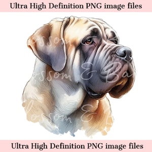 Digital - Boerboel PNG acuarela Boerboel perro retrato PNG - Descargar para la sublimación de camisa de mamá perro mastín - Seguro para uso comercial