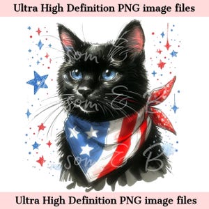 Digitale schwarze Katze PNG Druckbares Katzenporträt PNG, Amerika Png, Sommer Katze PNG, Kätzchen-Download für Patriotische 4. Juli Sublimation