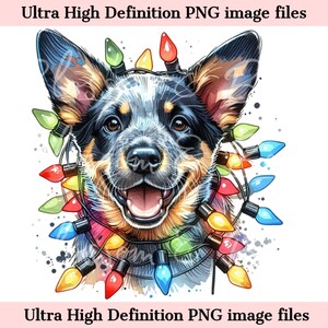 Digital - Niedliches Blau Heeler PNG Weihnachtshund Porträt PNG - Download für Australian Cattle Dog Verhedderte Weihnachtslichter Weihnachtshund Sublimation