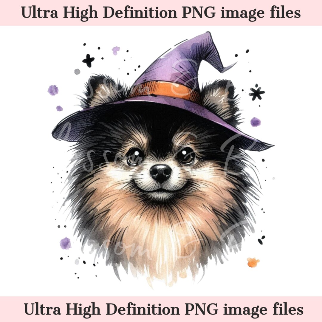 Digital Pomeranian Halloween Dog PNG, Cute Puppy PNG Autumn Witch Dog ...