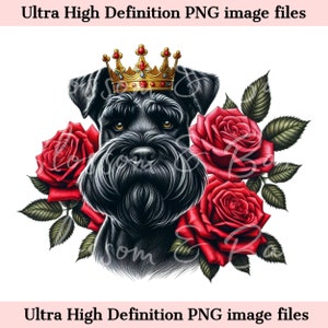Digital Giant Schnauzer PNG King Crown PNG - Lindo Schnauzer Perro PNG Descarga instantánea para el logotipo del peluquero de perros y regalo de sublimación de camisa vintage