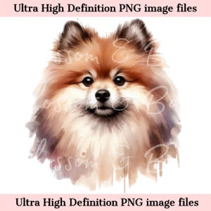 Numérique Pomeranian PNG Beautiful Sable Spitz Dog PNG - chien Art PNG - téléchargement pour sublimation de chemise de maman de Poméranie - sans danger pour un usage commercial