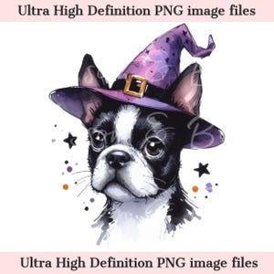 Digital Boston Terrier Halloween dog PNG, Cute Puppy PNG Autumn Witch Dog Download for Groomer and Bostie Dog Owner Shirt Sublimation