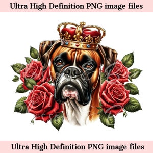 Boxer digital PNG King Crown PNG - Lindo Boxer Dog PNG Descarga instantánea para el logotipo del peluquero de perros y regalo de sublimación de camisa vintage