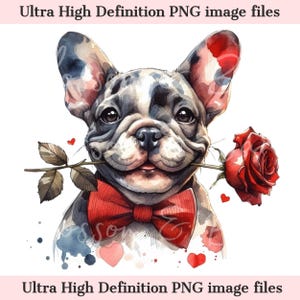 Digital Valentine's Frenchie PNG Druckbares Hundeporträt PNG, Süßer Frenchie PNG -Download für Französische Bulldogge Valentinstag Valentinstag Shirt Sublimation