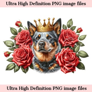 Digital - Perro de ganado australiano PNG King Crown PNG - Lindo perro de tacón azul PNG Descarga instantánea para peluquero de perros y regalo de sublimación de camisa