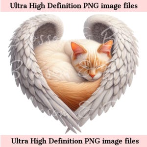 Gato siamés digital PNG Memorial PNG - Retrato de mascota con alas de ángel PNG Descarga instantánea para funeral de mascota ángel - Sublimación de duelo