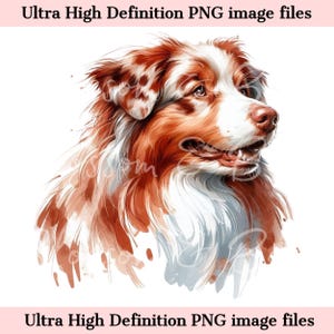 Retrato de perro de acuarela PNG de pastor australiano digital PNG - Descarga para sublimación de camiseta de mamá de perro australiano merle rojo - Seguro para uso comercial