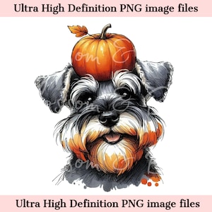 Puede incluir: Un perro schnauzer miniatura negro y gris con una calabaza naranja en la cabeza. El perro está mirando directamente al espectador con una expresión feliz. El fondo es blanco.